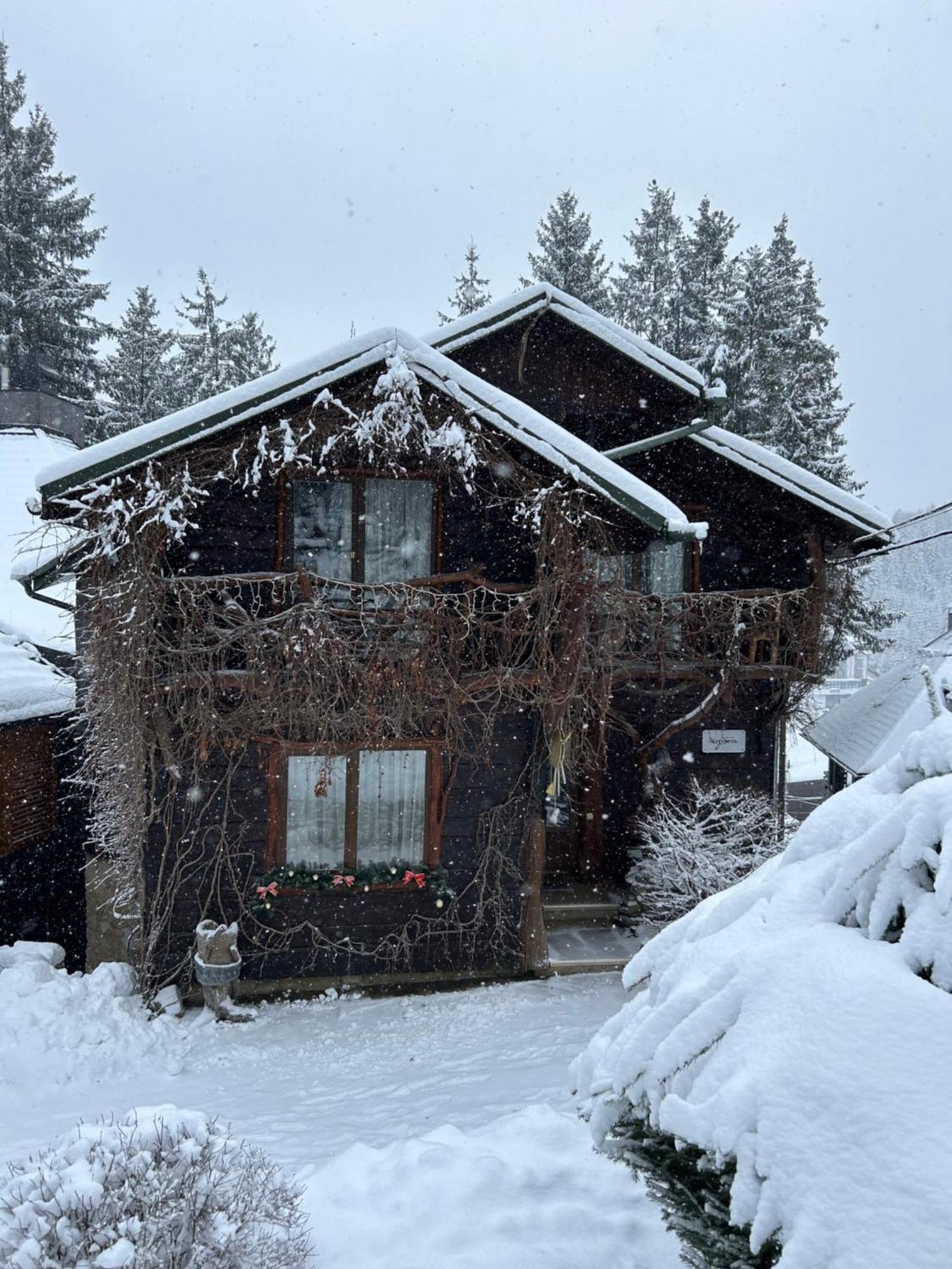 Stara Pravda Villas 布克维 外观 照片